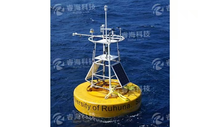 海洋浮標是怎么布放的